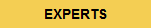 RETURN TO EXPERTS