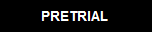 PRETRIAL CRIMINAL PRACTICE