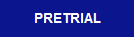 PRETRIAL CRIMINAL PRACTICE